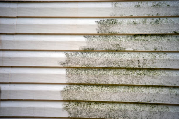 Best Residential Vinyl Siding Installation  in Englewood Cliffs, NJ